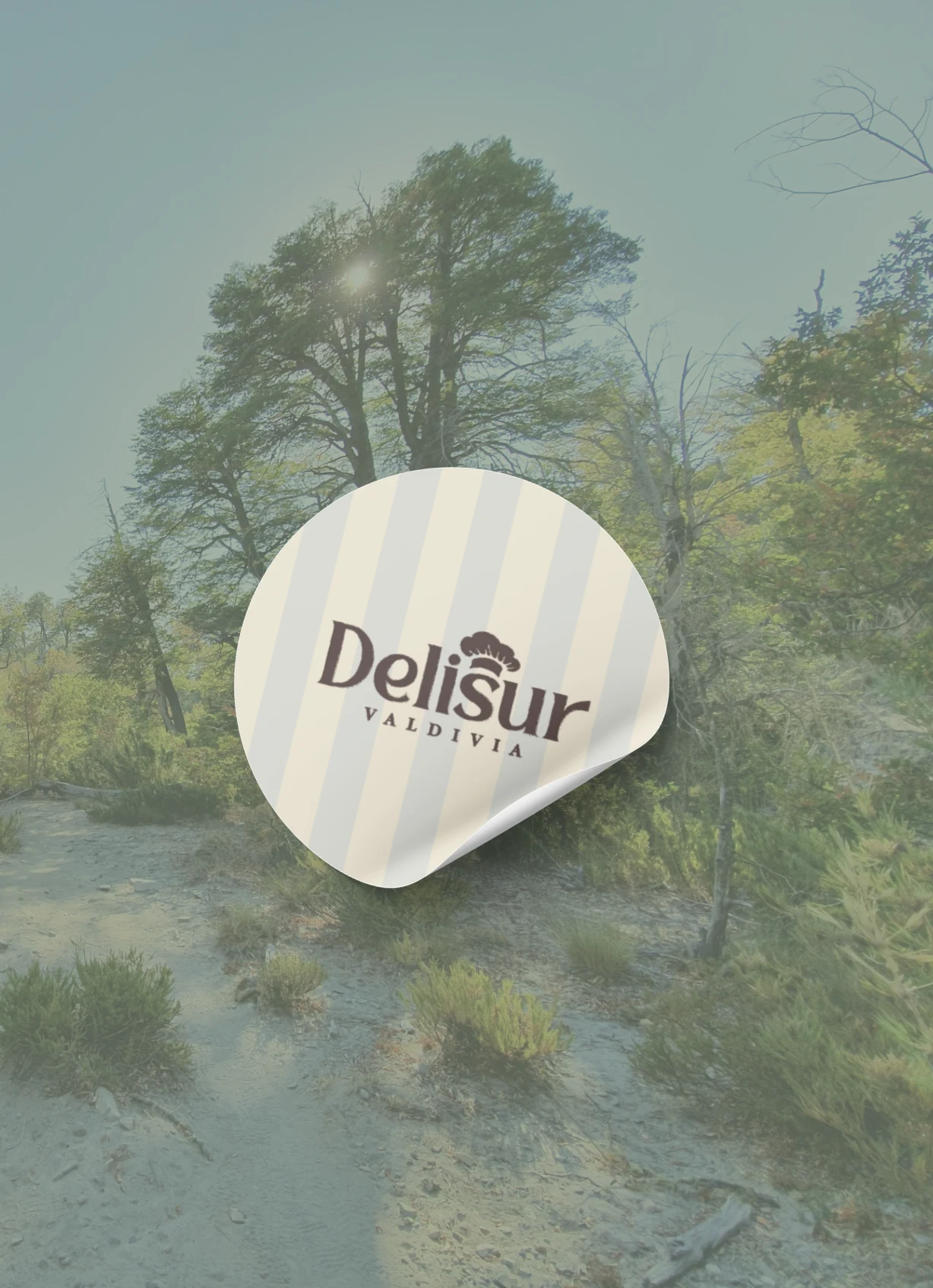 Delisur