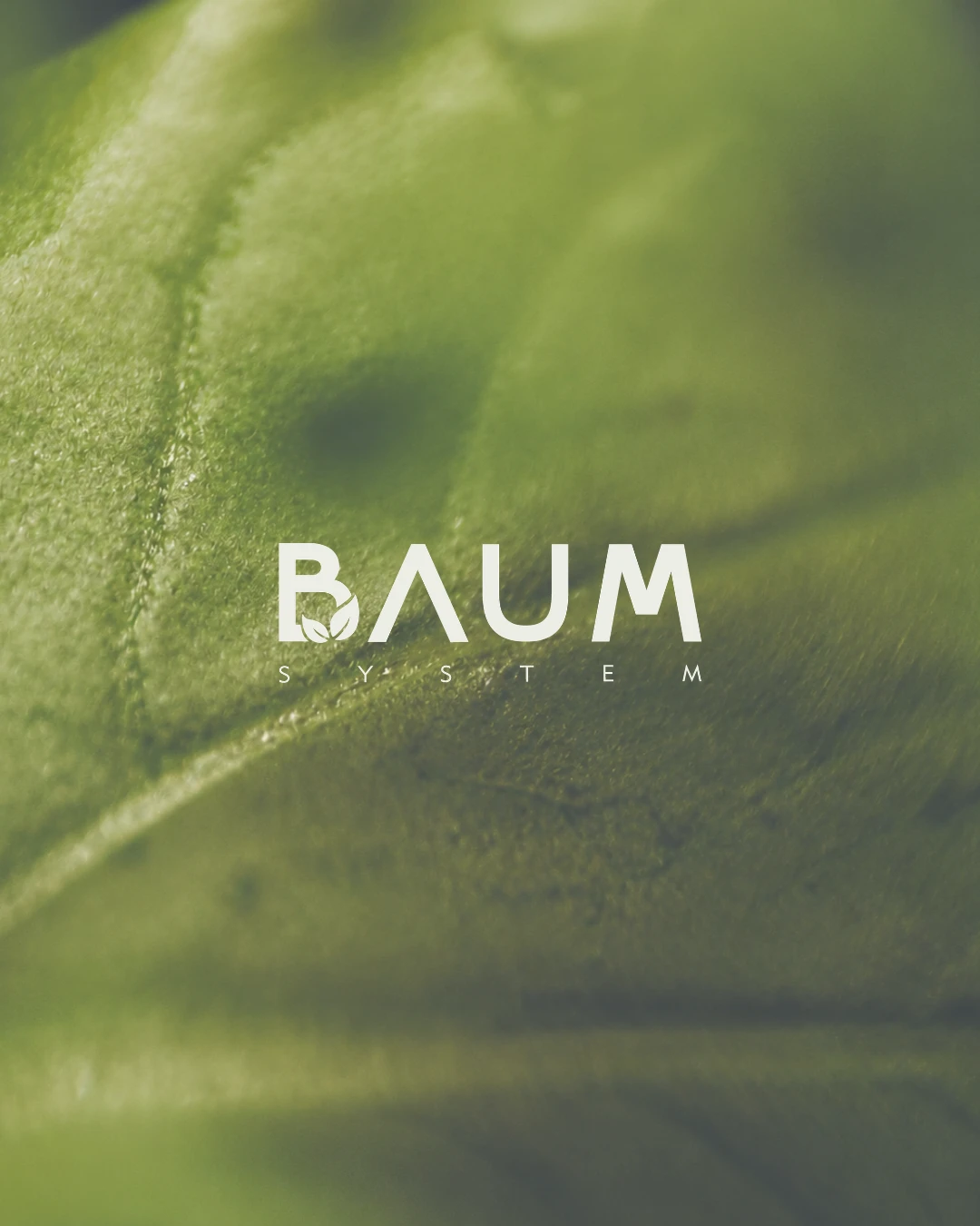 Baum System
